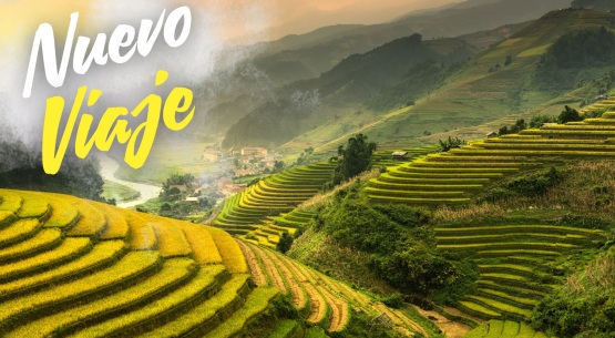 TESOROS DE VIETNAM